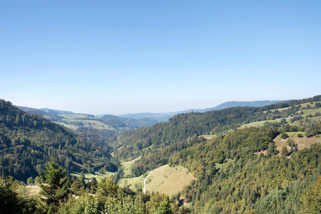 Апартаменты Schwarzwaldperle Тодтмос Экстерьер фото